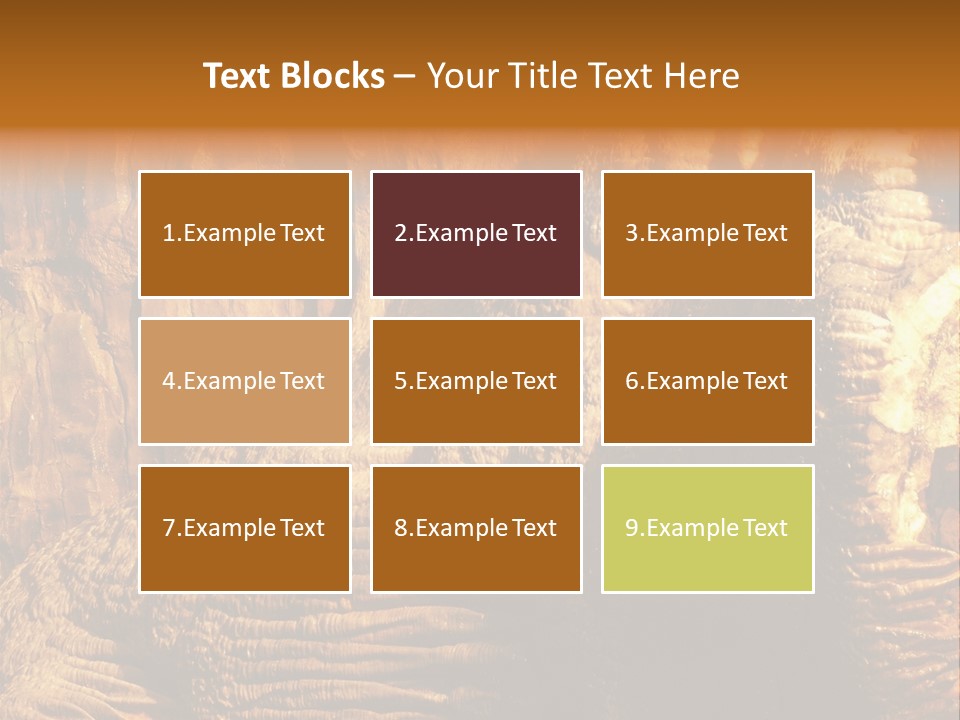 Wall Of Howe Caverns New York PowerPoint Template