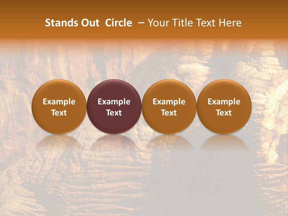 Wall Of Howe Caverns New York PowerPoint Template