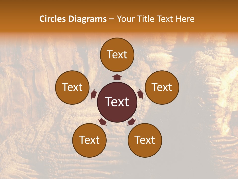 Wall Of Howe Caverns New York PowerPoint Template