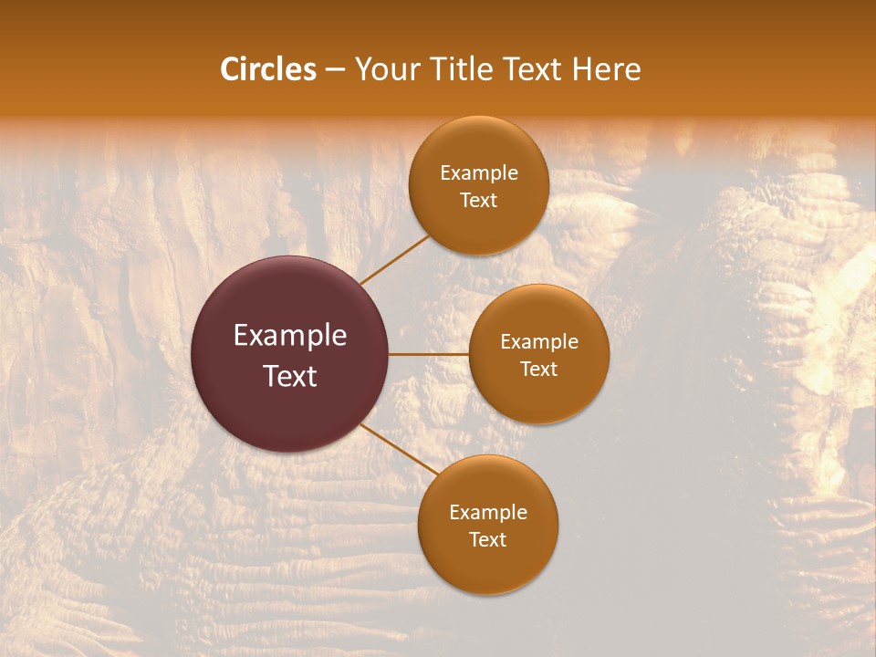 Wall Of Howe Caverns New York PowerPoint Template