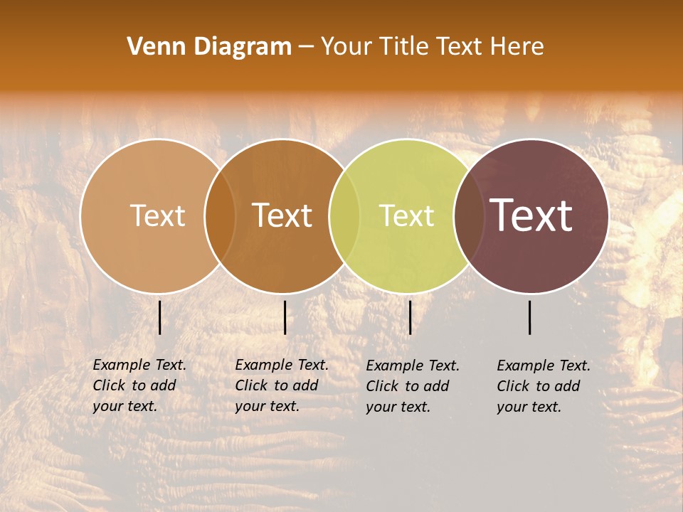 Wall Of Howe Caverns New York PowerPoint Template