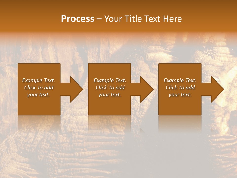 Wall Of Howe Caverns New York PowerPoint Template