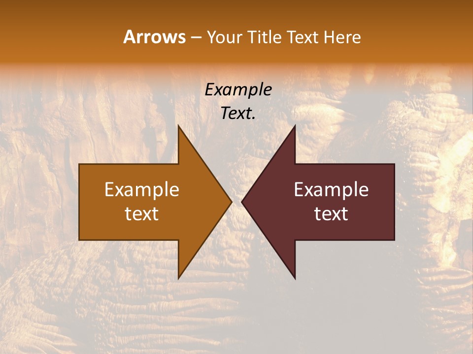 Wall Of Howe Caverns New York PowerPoint Template