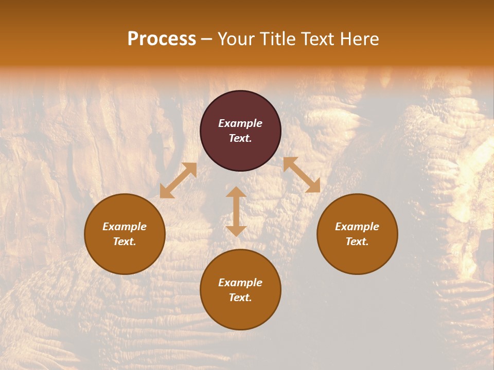 Wall Of Howe Caverns New York PowerPoint Template