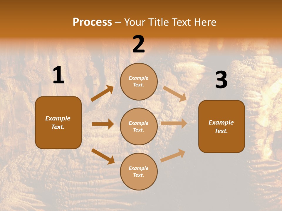 Wall Of Howe Caverns New York PowerPoint Template