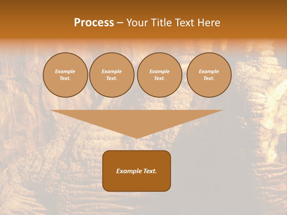 Wall Of Howe Caverns New York PowerPoint Template