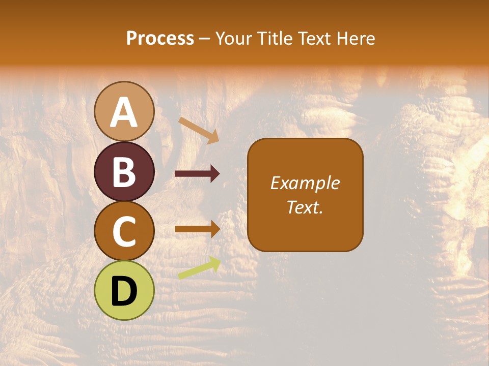 Wall Of Howe Caverns New York PowerPoint Template