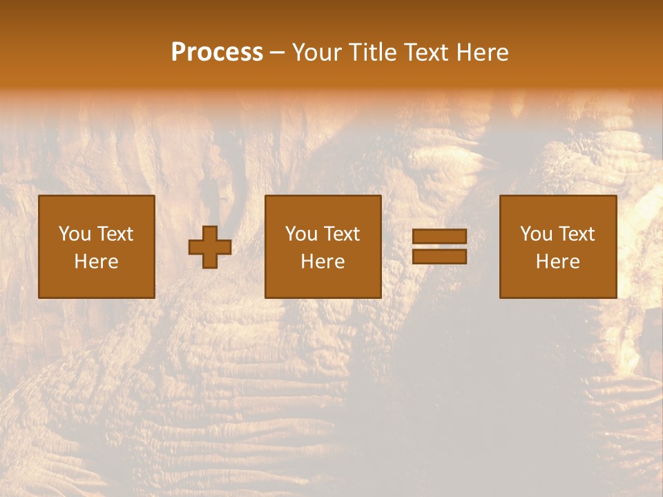 Wall Of Howe Caverns New York PowerPoint Template