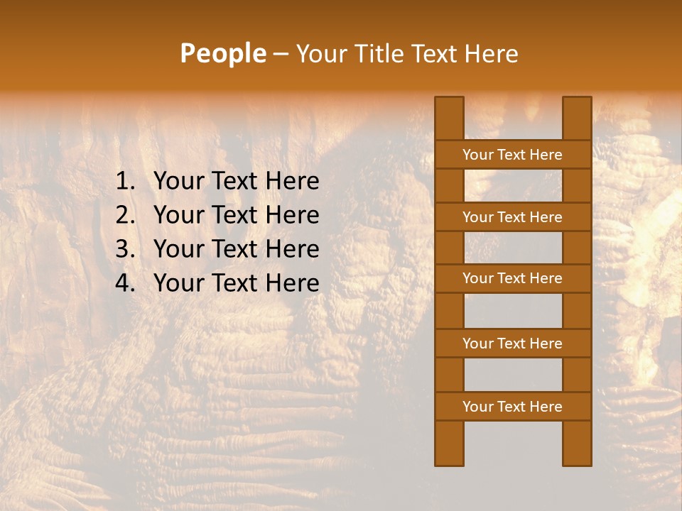 Wall Of Howe Caverns New York PowerPoint Template