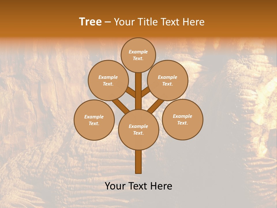 Wall Of Howe Caverns New York PowerPoint Template