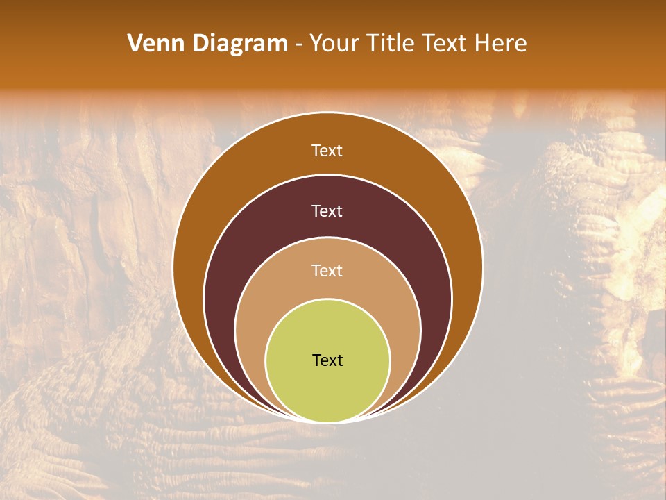 Wall Of Howe Caverns New York PowerPoint Template