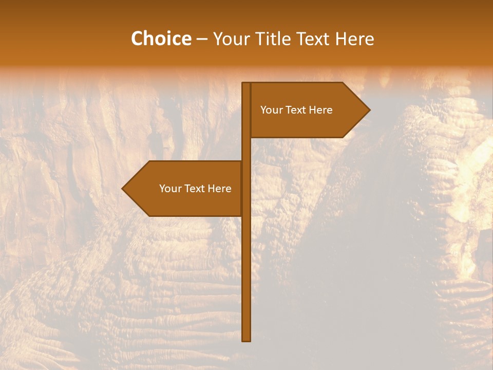 Wall Of Howe Caverns New York PowerPoint Template