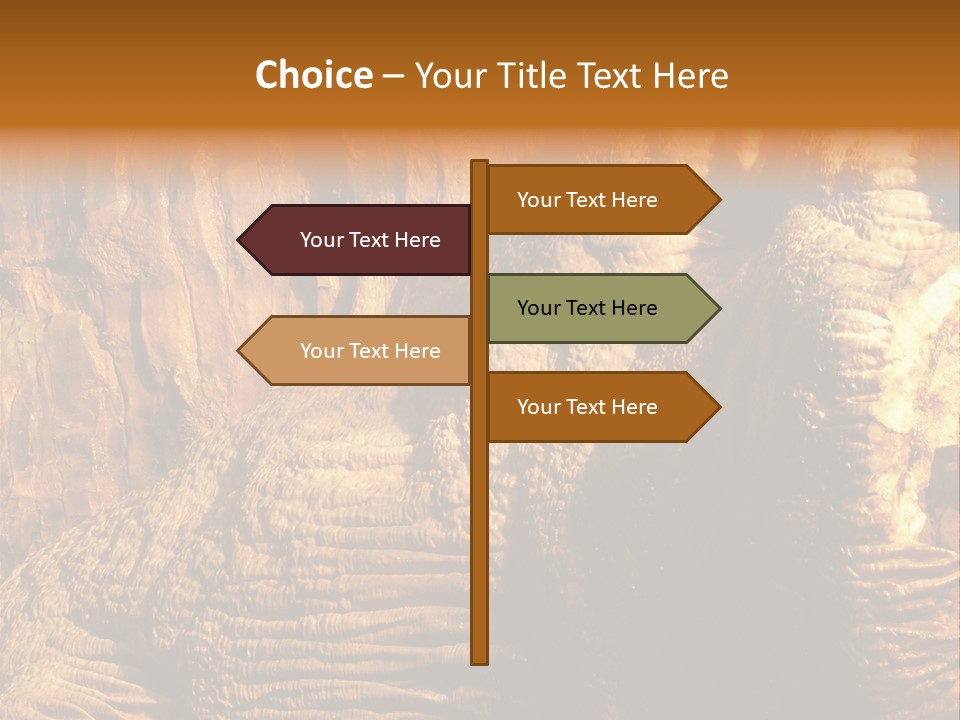 Wall Of Howe Caverns New York PowerPoint Template