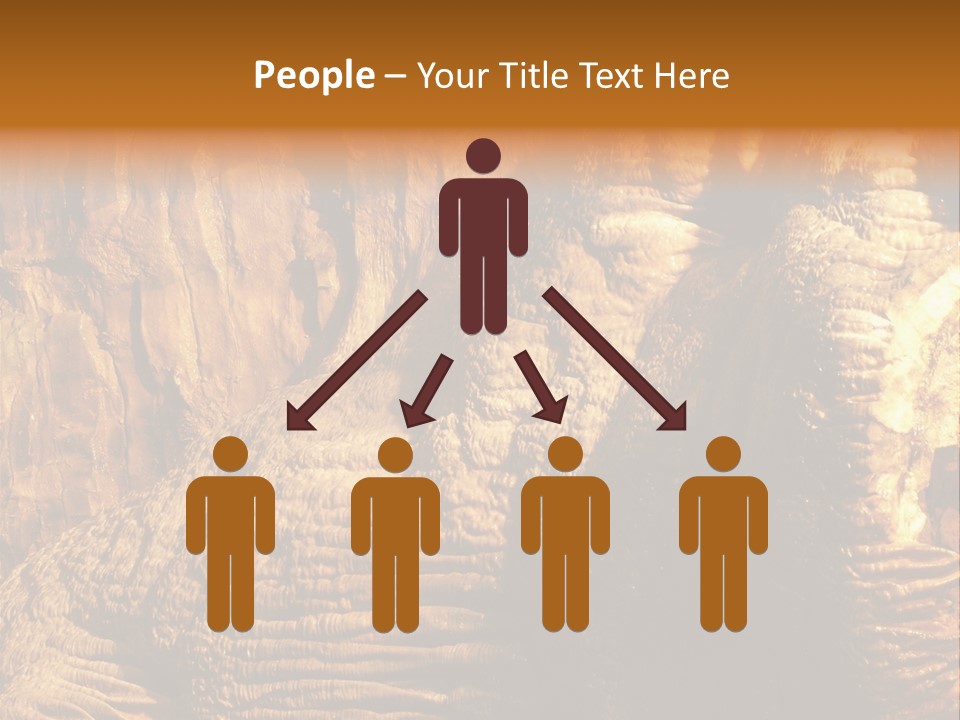 Wall Of Howe Caverns New York PowerPoint Template