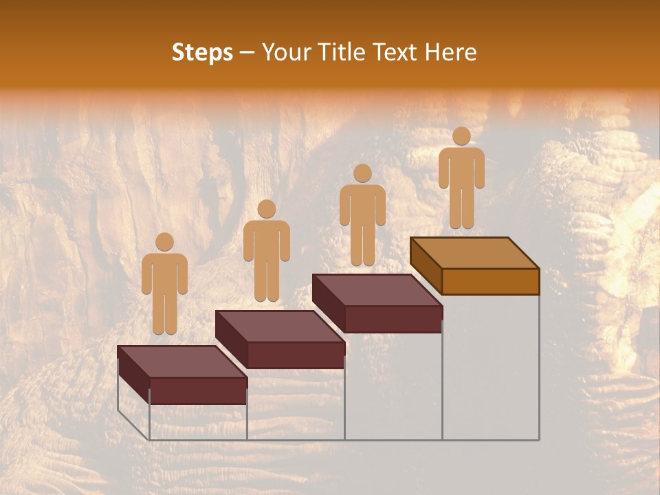 Wall Of Howe Caverns New York PowerPoint Template