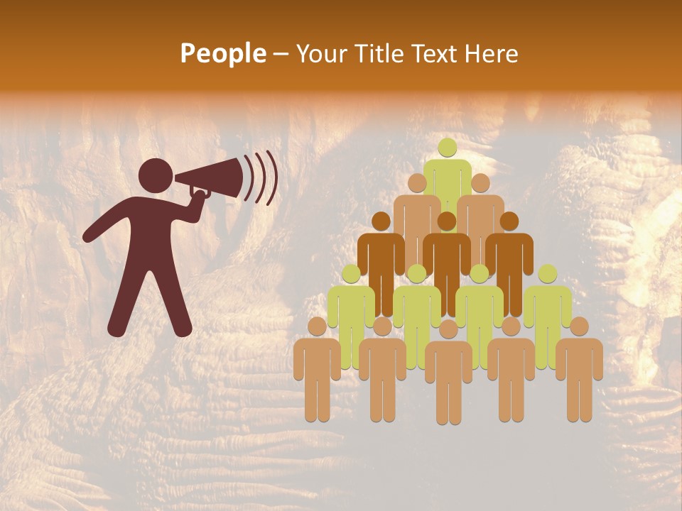 Wall Of Howe Caverns New York PowerPoint Template