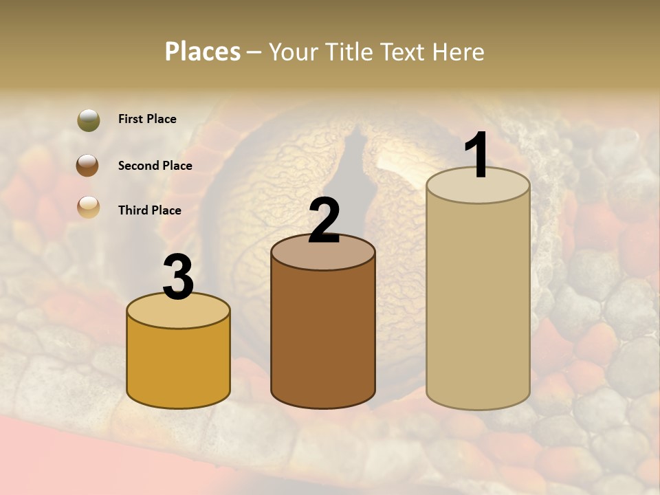 A Macro Shot Of The Eye Of A Tokay Gecko PowerPoint Template