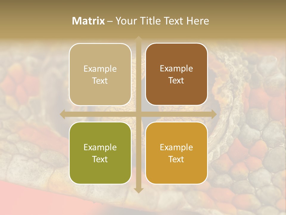 A Macro Shot Of The Eye Of A Tokay Gecko PowerPoint Template