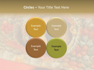 A Macro Shot Of The Eye Of A Tokay Gecko PowerPoint Template