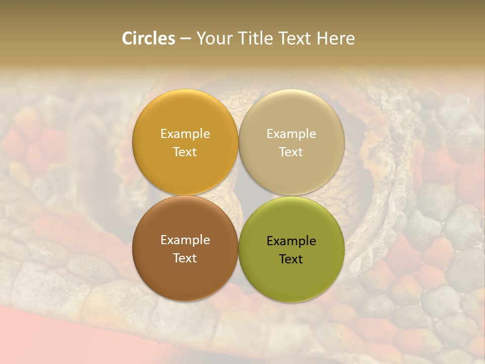 A Macro Shot Of The Eye Of A Tokay Gecko PowerPoint Template