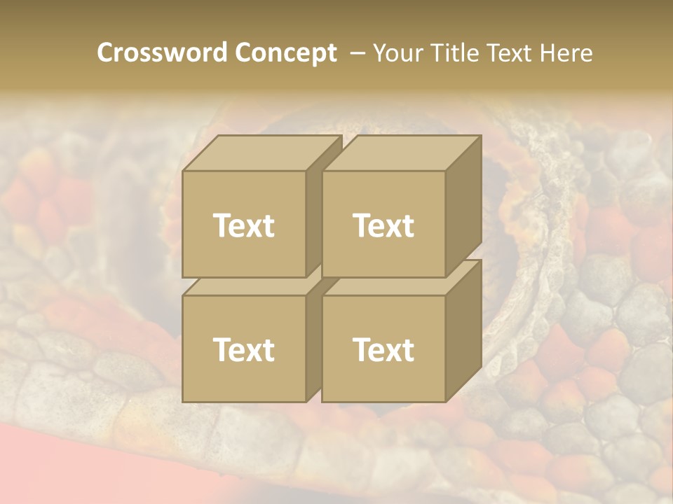 A Macro Shot Of The Eye Of A Tokay Gecko PowerPoint Template