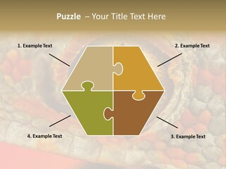 A Macro Shot Of The Eye Of A Tokay Gecko PowerPoint Template