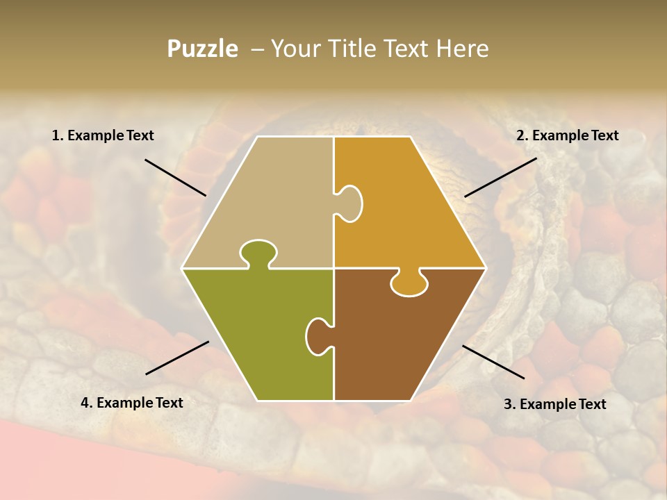 A Macro Shot Of The Eye Of A Tokay Gecko PowerPoint Template