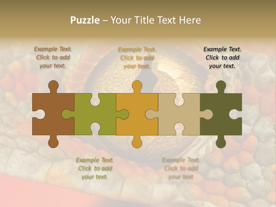 A Macro Shot Of The Eye Of A Tokay Gecko PowerPoint Template