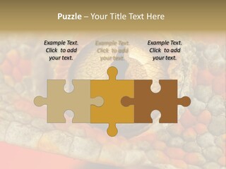 A Macro Shot Of The Eye Of A Tokay Gecko PowerPoint Template