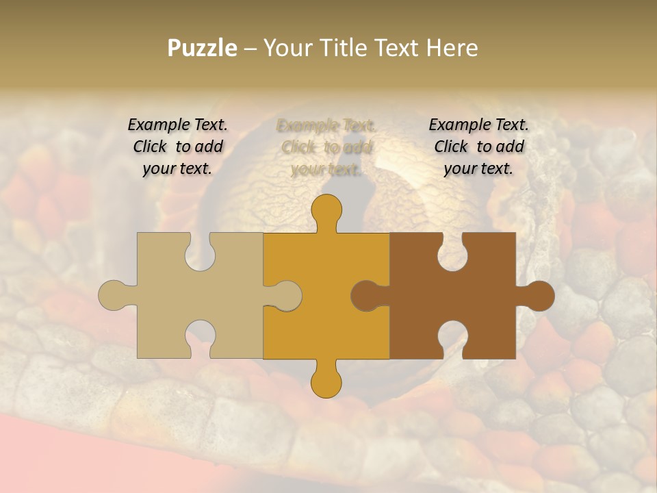 A Macro Shot Of The Eye Of A Tokay Gecko PowerPoint Template