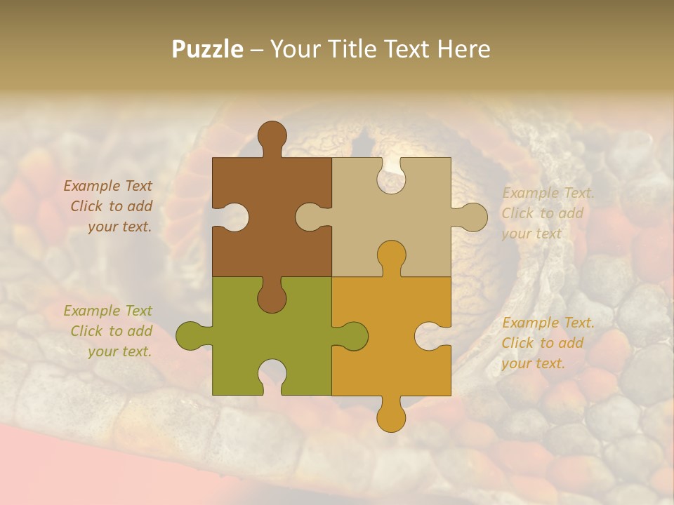 A Macro Shot Of The Eye Of A Tokay Gecko PowerPoint Template