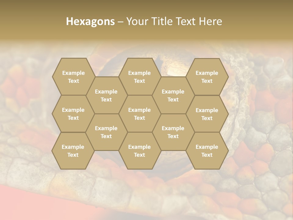 A Macro Shot Of The Eye Of A Tokay Gecko PowerPoint Template