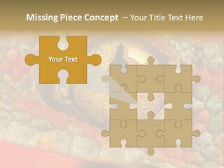 A Macro Shot Of The Eye Of A Tokay Gecko PowerPoint Template