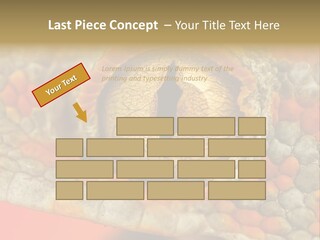 A Macro Shot Of The Eye Of A Tokay Gecko PowerPoint Template