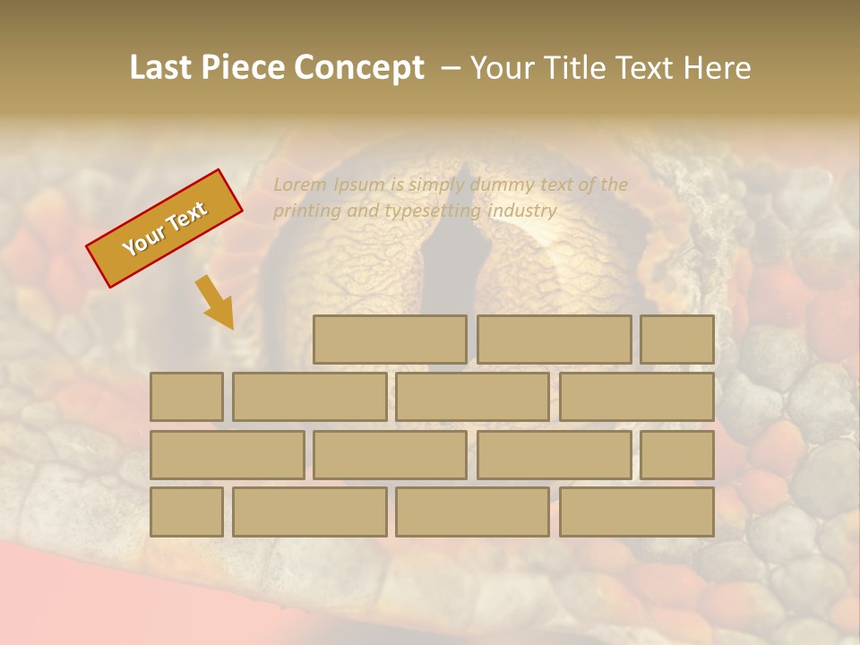 A Macro Shot Of The Eye Of A Tokay Gecko PowerPoint Template