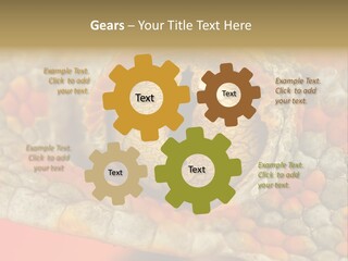 A Macro Shot Of The Eye Of A Tokay Gecko PowerPoint Template