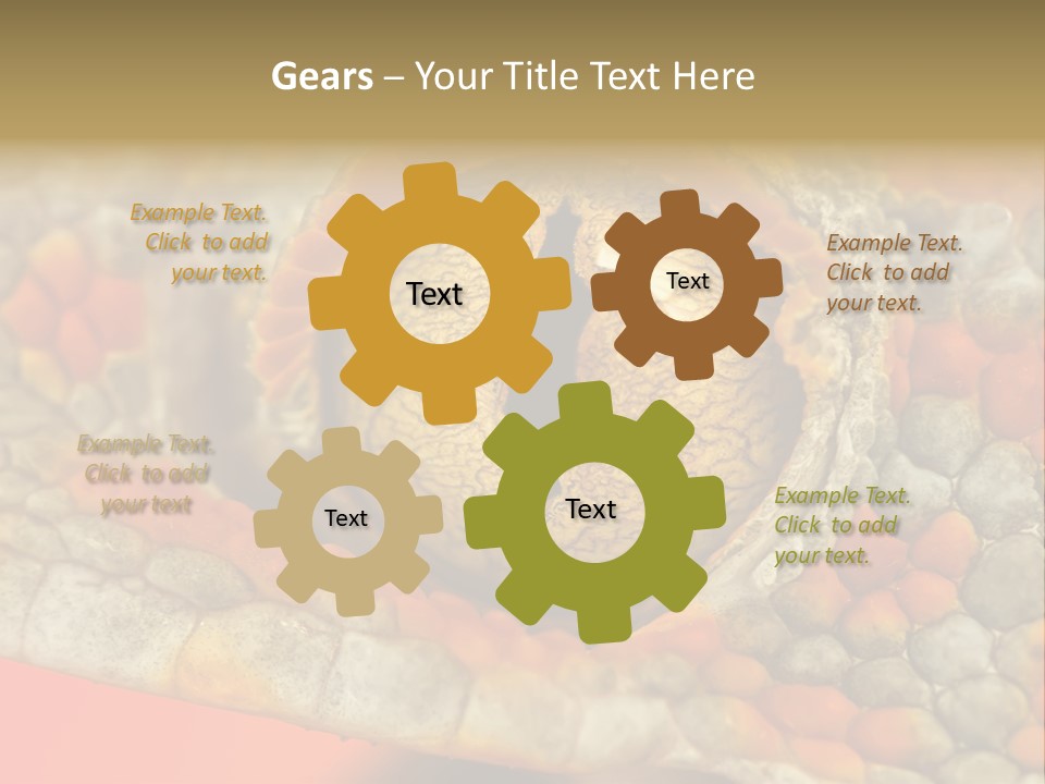 A Macro Shot Of The Eye Of A Tokay Gecko PowerPoint Template