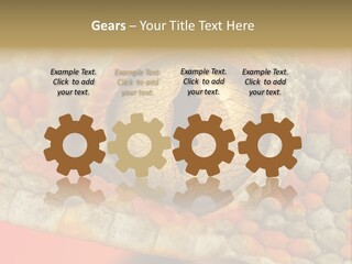 A Macro Shot Of The Eye Of A Tokay Gecko PowerPoint Template