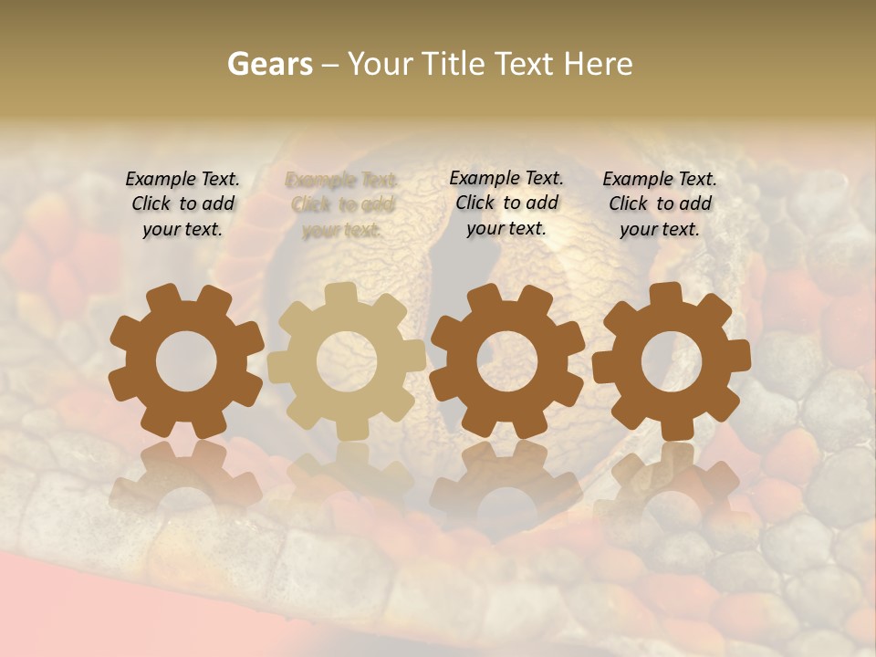 A Macro Shot Of The Eye Of A Tokay Gecko PowerPoint Template