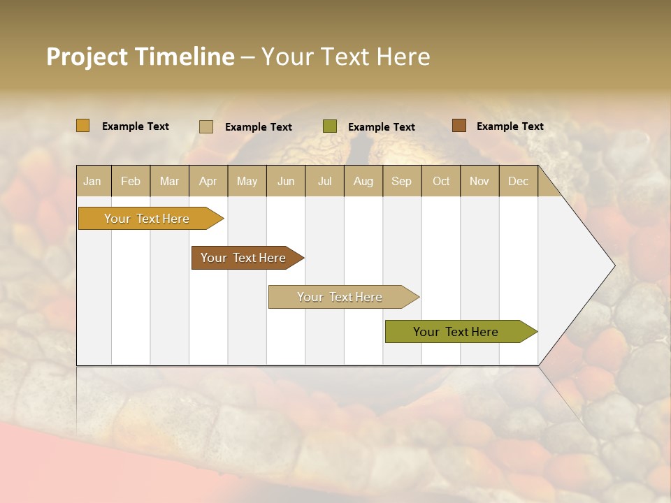 A Macro Shot Of The Eye Of A Tokay Gecko PowerPoint Template