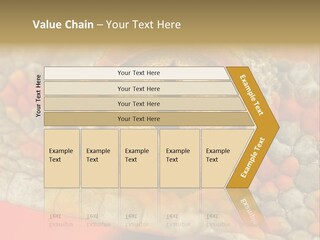 A Macro Shot Of The Eye Of A Tokay Gecko PowerPoint Template