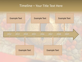 A Macro Shot Of The Eye Of A Tokay Gecko PowerPoint Template