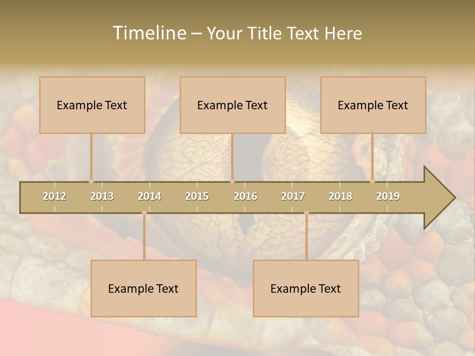 A Macro Shot Of The Eye Of A Tokay Gecko PowerPoint Template