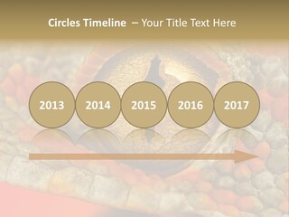 A Macro Shot Of The Eye Of A Tokay Gecko PowerPoint Template