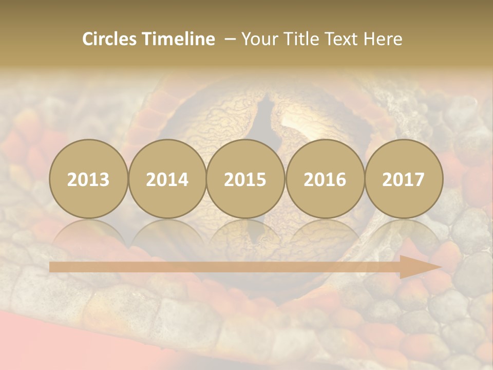 A Macro Shot Of The Eye Of A Tokay Gecko PowerPoint Template