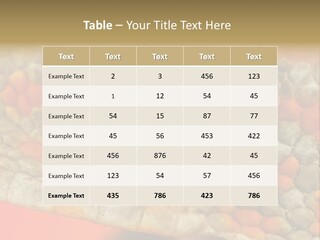 A Macro Shot Of The Eye Of A Tokay Gecko PowerPoint Template