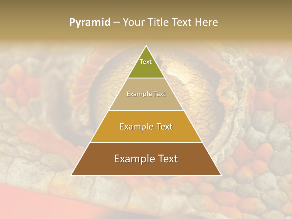 A Macro Shot Of The Eye Of A Tokay Gecko PowerPoint Template