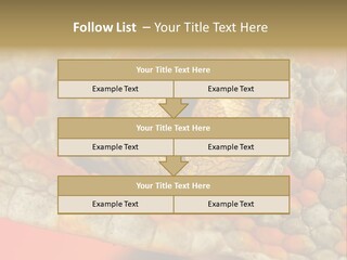 A Macro Shot Of The Eye Of A Tokay Gecko PowerPoint Template