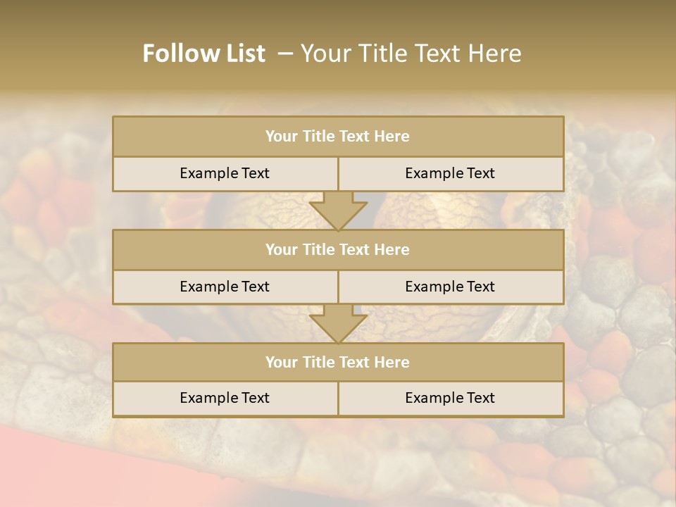 A Macro Shot Of The Eye Of A Tokay Gecko PowerPoint Template