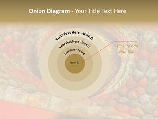 A Macro Shot Of The Eye Of A Tokay Gecko PowerPoint Template